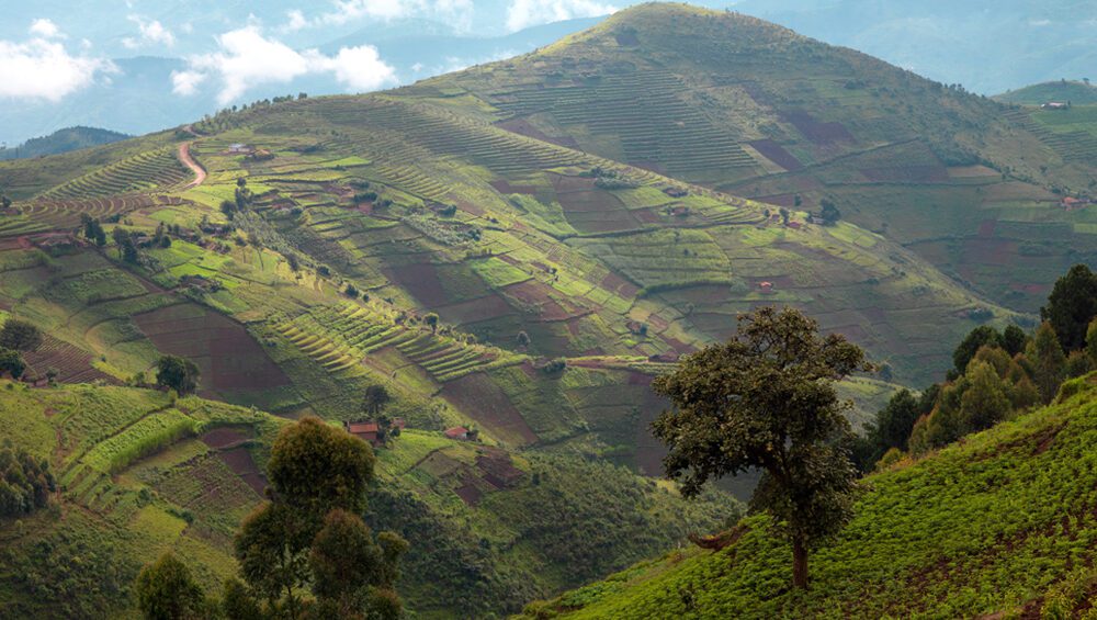 Exploring the Land of a Thousand Hills: Top Tourist Attractions in Rwanda