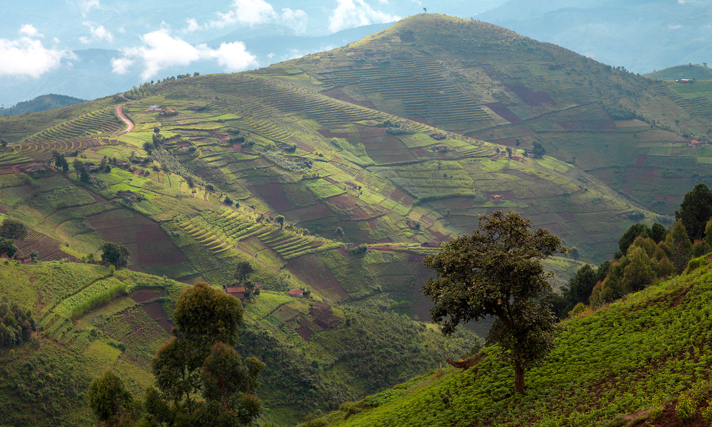 Exploring the Land of a Thousand Hills: Top Tourist Attractions in Rwanda